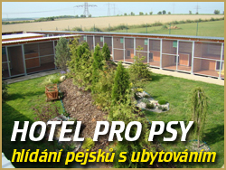 Hotel pro psy