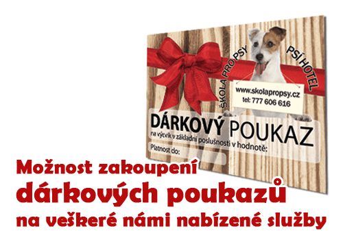 Darkove poukazy