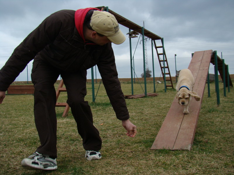 Agility