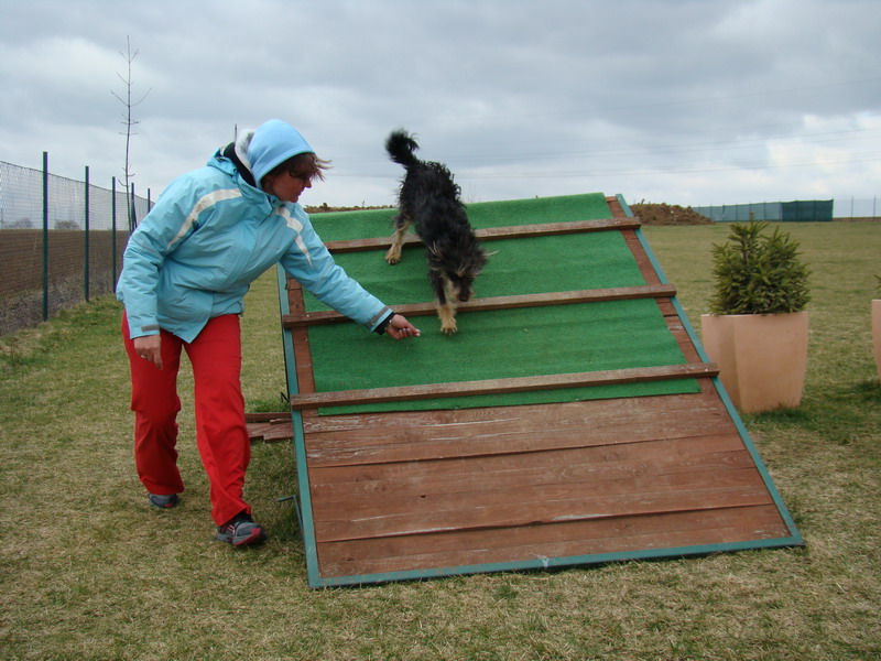Agility Maraton 2012 Praha Ořech - výcvik psů a hotel pro psy