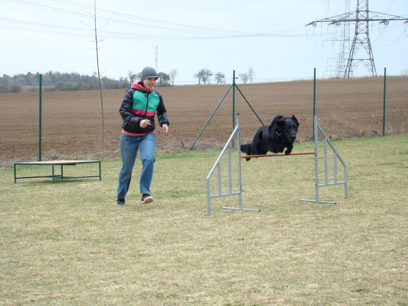 Agility Maraton 2012 Praha Ořech - výcvik psů a hotel pro psy