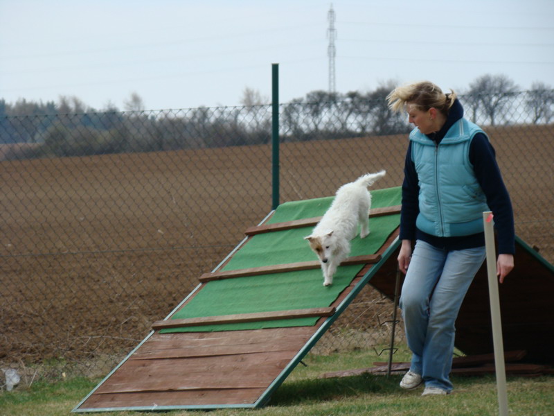 Agility Maraton 2012 Praha Ořech - výcvik psů a hotel pro psy